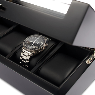 Tempor Watch box
