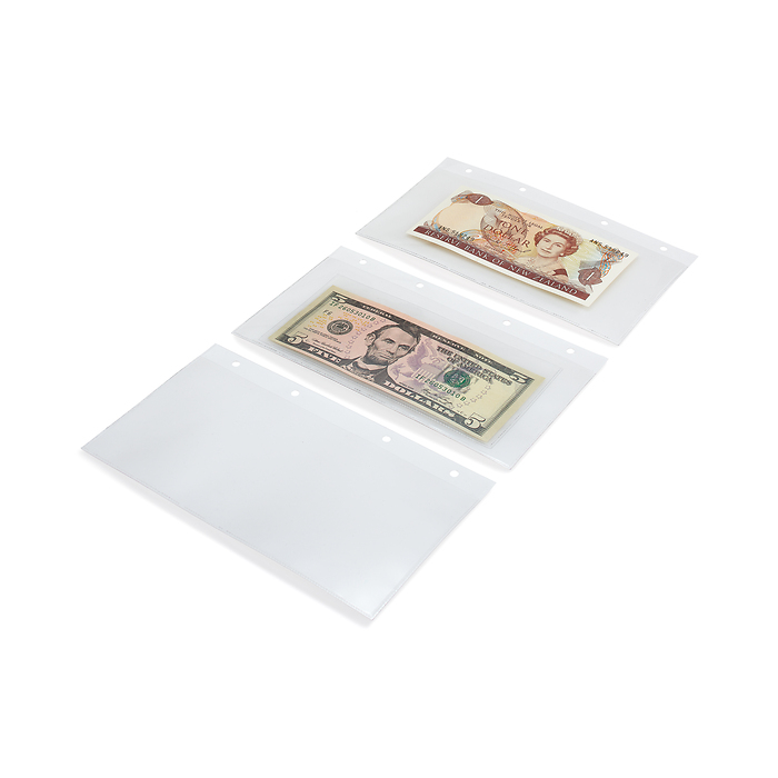 Charta Banknote Album, incl. 40 sheets, black
