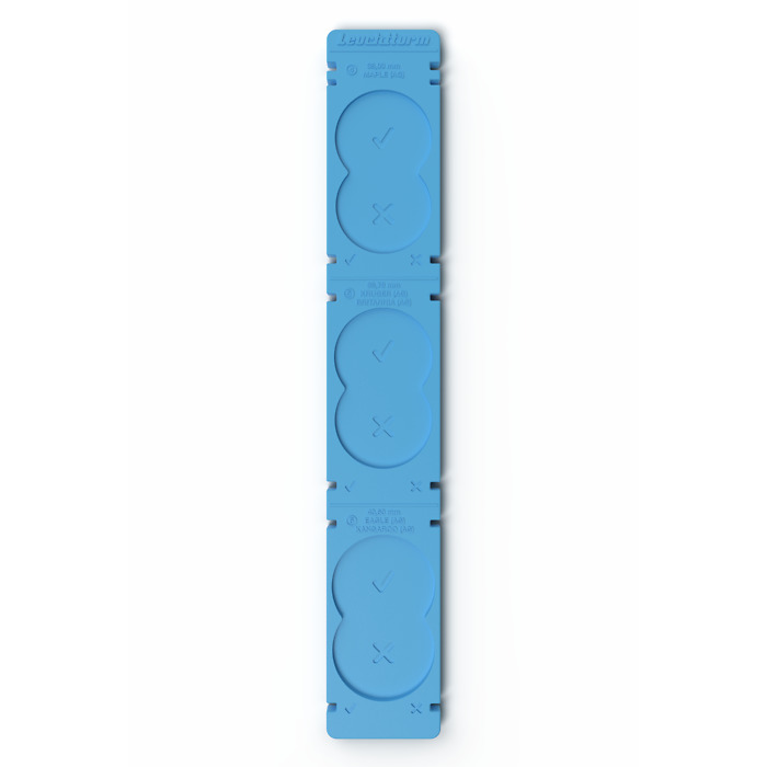 BullionRuler measuring template