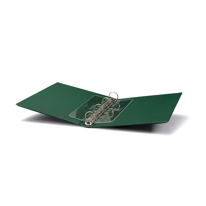 Vario F Ringbinder incl. slipcase, green
