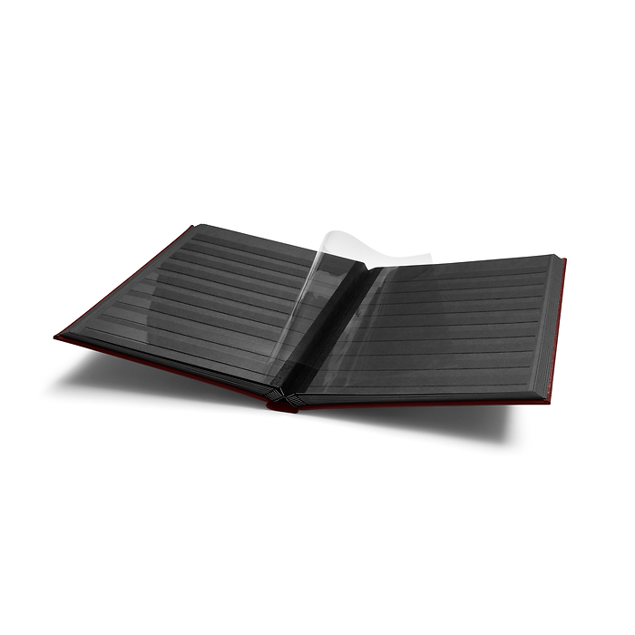 Premium stockbook, DIN A4, 32  black pages, padded LEFA cover, red