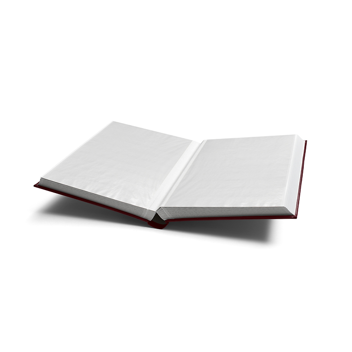 Comfort stockbook, DIN A4, 64  white pages, padded cover, wine red