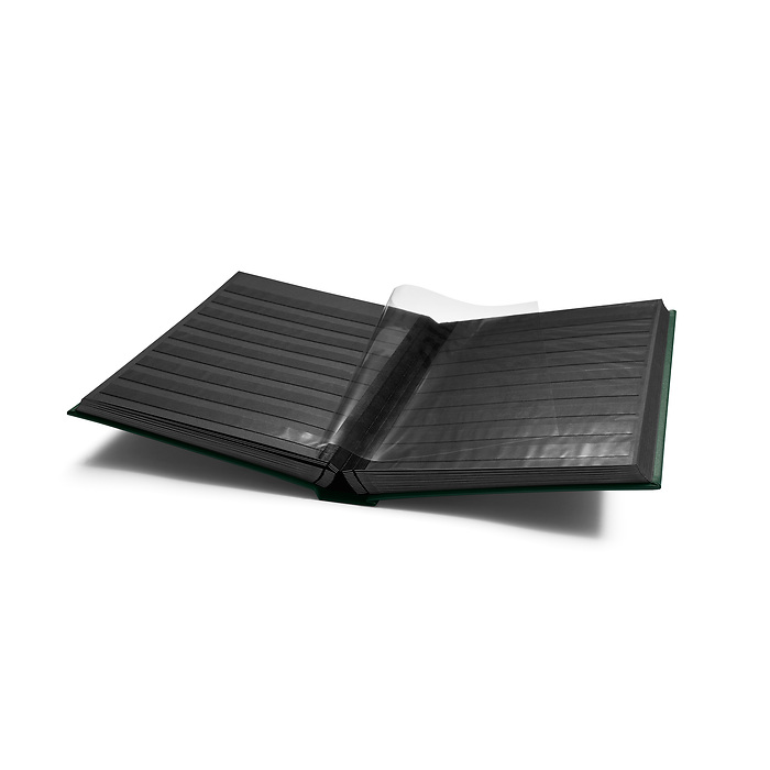 Premium stockbook, DIN A4, 64  black pages, padded cover made of LEFA, green
