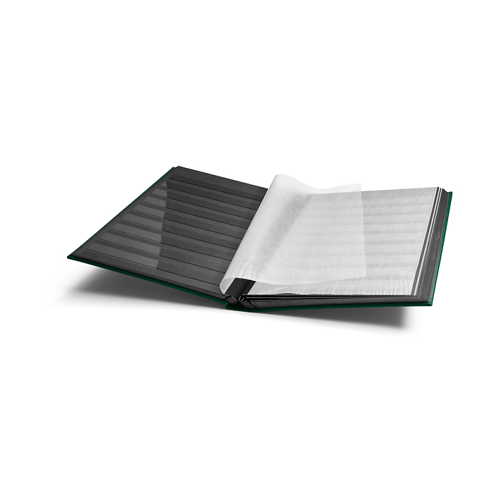 Comfort stockbook, DIN A4, 32  black pages, padded cover, green