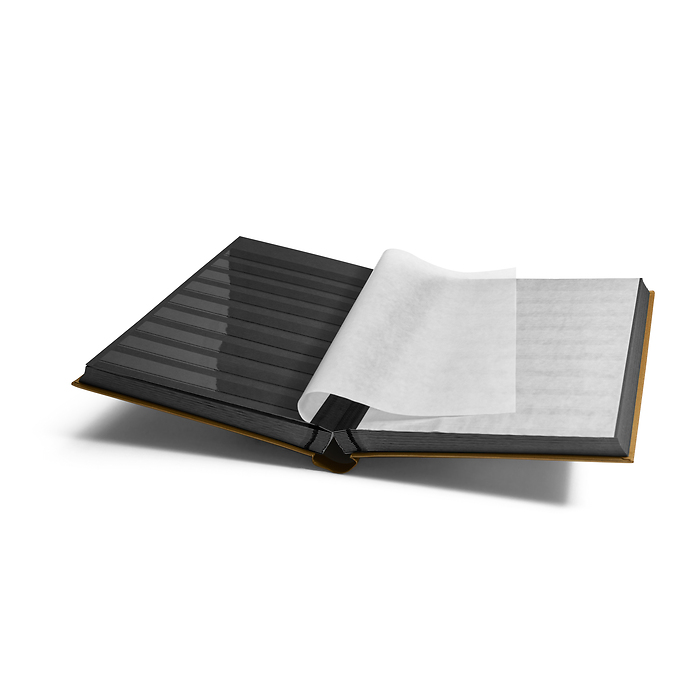 Comfort stockbook, A4, 64 black pages, padded cover, gold