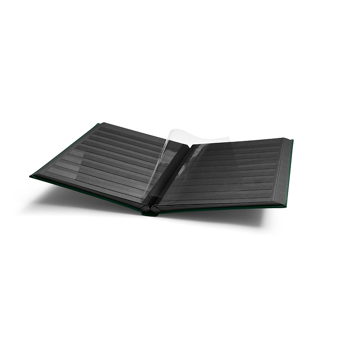 Stockbook Premium, A4, 32 black pages, padded leather* cover  incl. slipcase, green