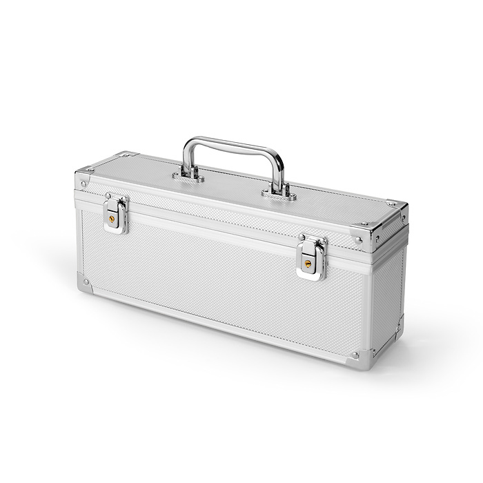 Cargo SQ coin case for 5 Sqube coin tubes, silver