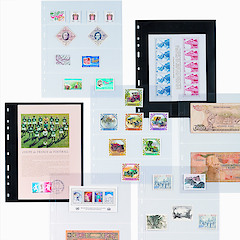 Plastic pockets Optima